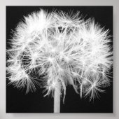 Dandelion Canvas afdrukken Poster (Voorkant)