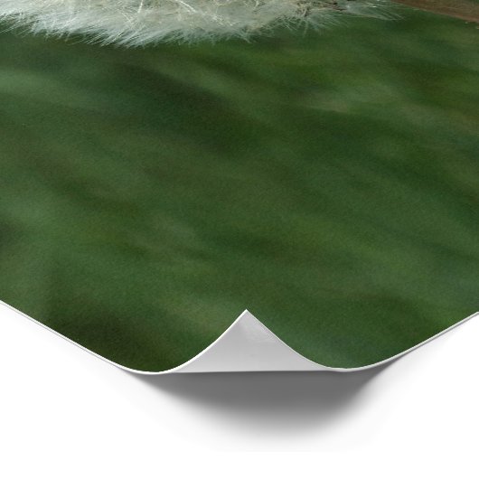 Dandelion Clock Poster (Hoek)