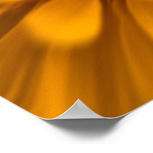 Dandelion Close Poster (Hoek)