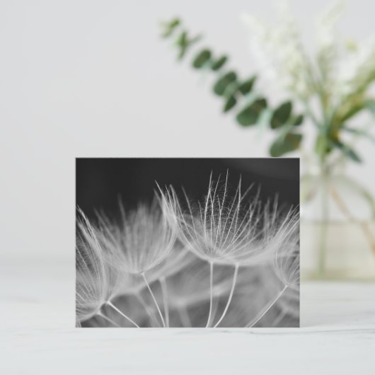 Dandelion Closeup in Black White Briefkaart (Staand voorkant)