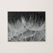 Dandelion Closeup in Black White Legpuzzel (Horizontaal)