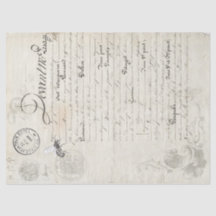 Dandelion Companion — Specificaties