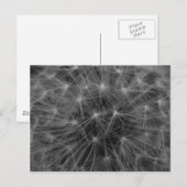 Dandelion Constellation Briefkaart (Voorkant / Achterkant)