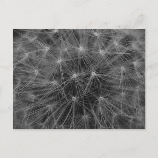 Dandelion Constellation Briefkaart (Voorkant)