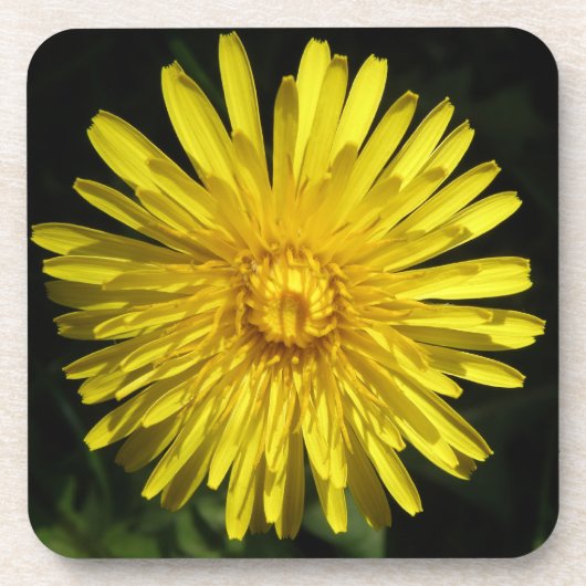 Dandelion Cork Onderzetter (Voorkant)