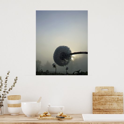 Dandelion Dawn Poster (Keuken)