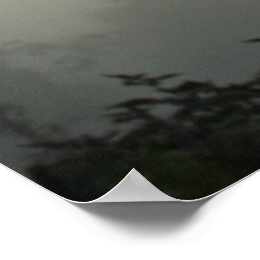 Dandelion Dawn Poster (Hoek)