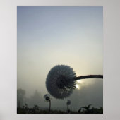 Dandelion Dawn Poster (Voorkant)