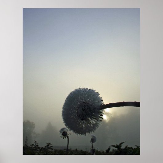 Dandelion Dawn Poster (Voorkant)
