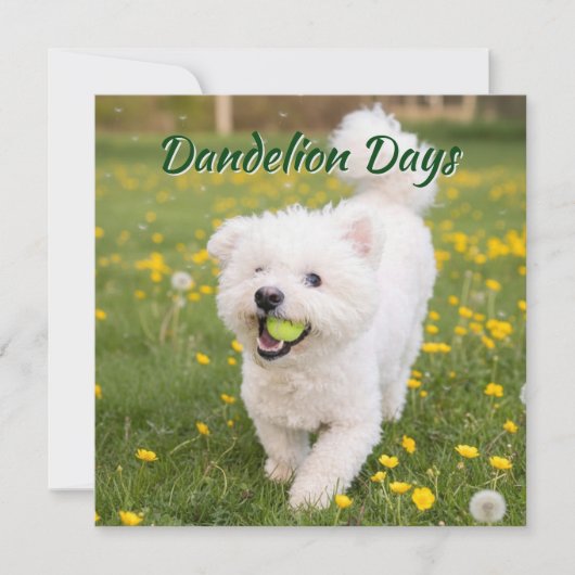 Dandelion Days Kaart (Voorkant)