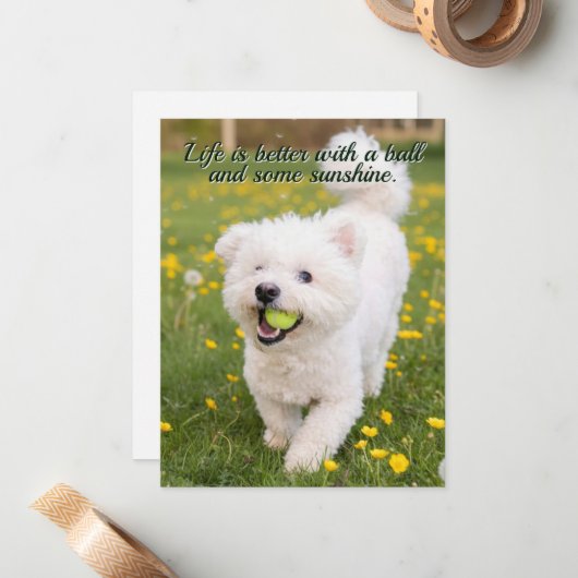 Dandelion Days Notitiekaartje (Voorkant / Achterkant in situ)