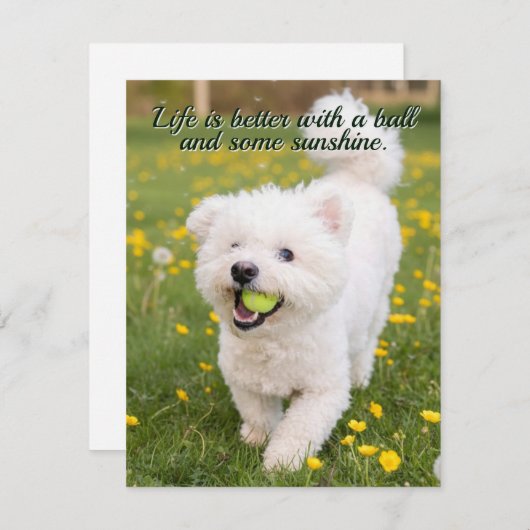 Dandelion Days Notitiekaartje (Voorkant / Achterkant)