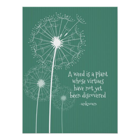 Dandelion Design Poster (Voorkant)