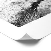 Dandelion Dreams Black and White Photography Poster (Hoek)