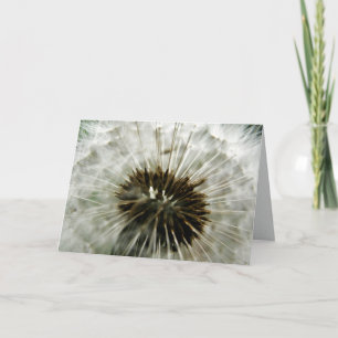 Dandelion Dreams Kaart