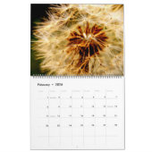 Dandelion Dreams Kalender (Feb 2026)