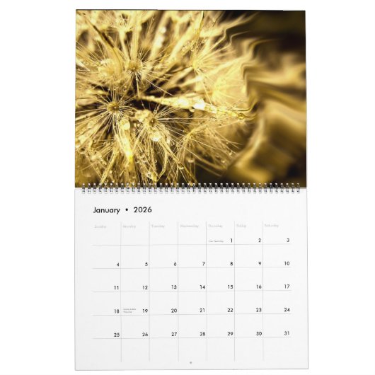 Dandelion Dreams Kalender (Jan 2026)