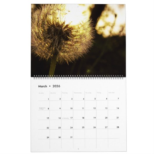 Dandelion Dreams Kalender (Mar 2026)