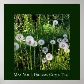 Dandelion Dreams wast botanisch Poster (Voorkant)