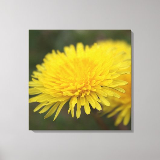 Dandelion droom.  gele wilde bloem canvas afdruk (Voorkant)