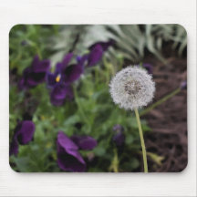 Dandelion en pansermuismatje