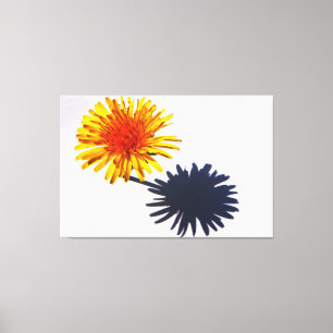 Dandelion en schaduw 60 x 40 (150 x 100 cm) canvas afdruk