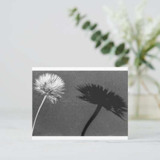 Dandelion en schaduw briefkaart (Staand voorkant)