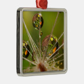 Dandelion en waterdruppels metalen ornament (Rechts)