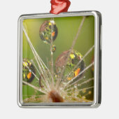 Dandelion en waterdruppels metalen ornament (Links)