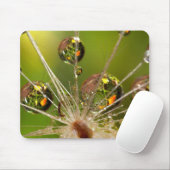 Dandelion en waterdruppels muismat (Met muis)
