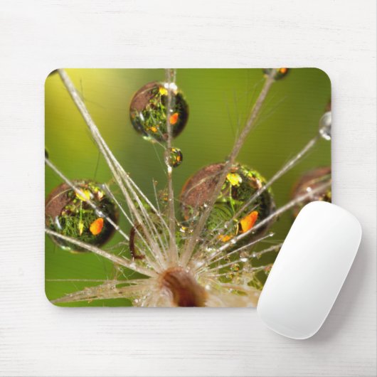 Dandelion en waterdruppels muismat (Met muis)