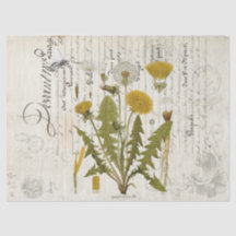 Dandelion Ephemera Landschap Decoupage Tissue Shee