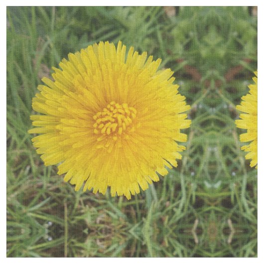 Dandelion Fabric Stof (Close Up)