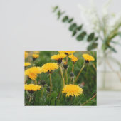 Dandelion Field Briefkaart (Staand voorkant)
