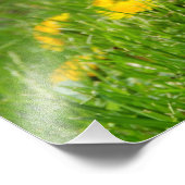 Dandelion Field Foto Afdruk (Hoek)