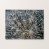 Dandelion Fireworks Legpuzzel (Horizontaal)