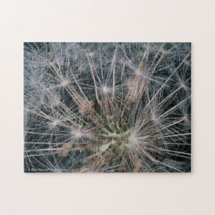 Dandelion Fireworks Legpuzzel