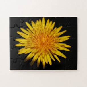 Dandelion Flower 11x14 30pc jpcn Legpuzzel