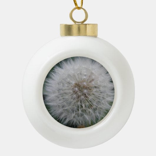 Dandelion Flower Ball Ornament (Voorkant)