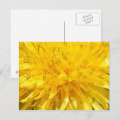 Dandelion Flower Briefkaart (Voorkant / Achterkant)