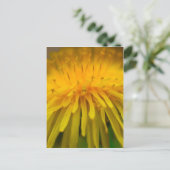 Dandelion Flower | Fotografie van Floral en Macro Briefkaart (Staand voorkant)