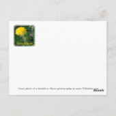 Dandelion Flower | Fotografie van Floral en Macro Briefkaart (Achterkant)