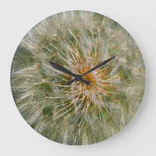 Dandelion Flower Grote Klok
