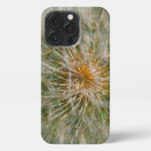 Dandelion Flower iPhone Hoesje (Achterkant)
