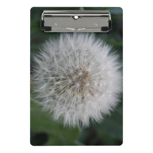 Dandelion Flower mini klembord (Voorkant)