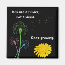 Dandelion Flower not Weed Fridge Magnet