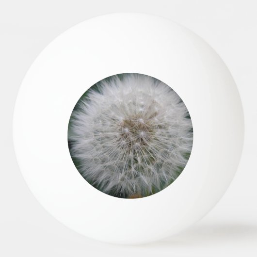Dandelion Flower Ping Pong Ball (Voorkant)