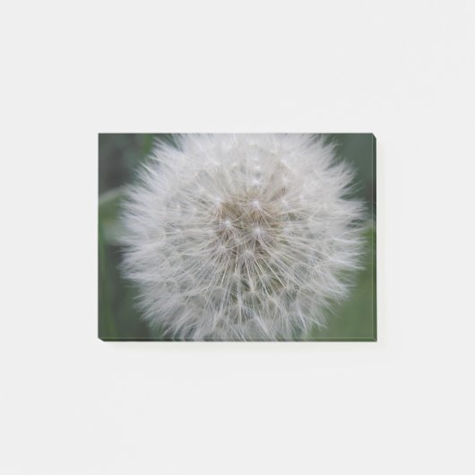 Dandelion Flower Post zaaien Post-it® Notes (Voorkant)
