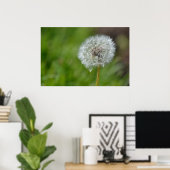 Dandelion Flower Poster (Thuiskantoor)
