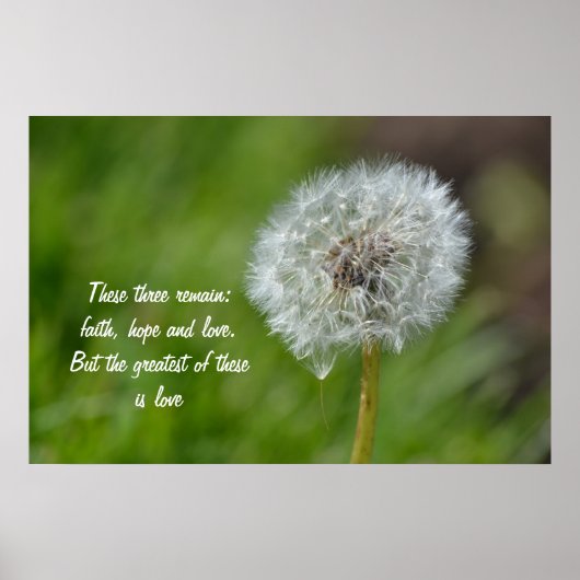 Dandelion Flower Poster (Voorkant)